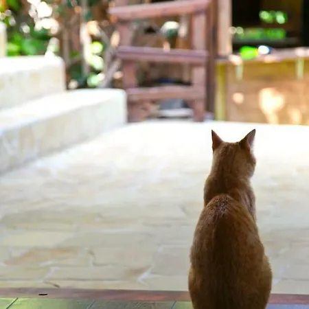 With Ocean View Agulo